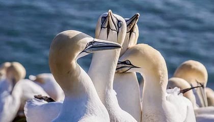 舟山高价上海医保提取2025的最新政策(2025年舟山上海医保怎么提取现金分享)