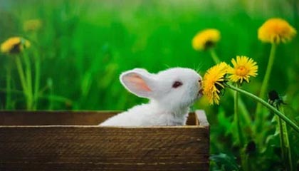 舟山高价社保卡有效期查询方式的最新政策(2025年舟山高价社保卡有效期查询方式是什么分享)